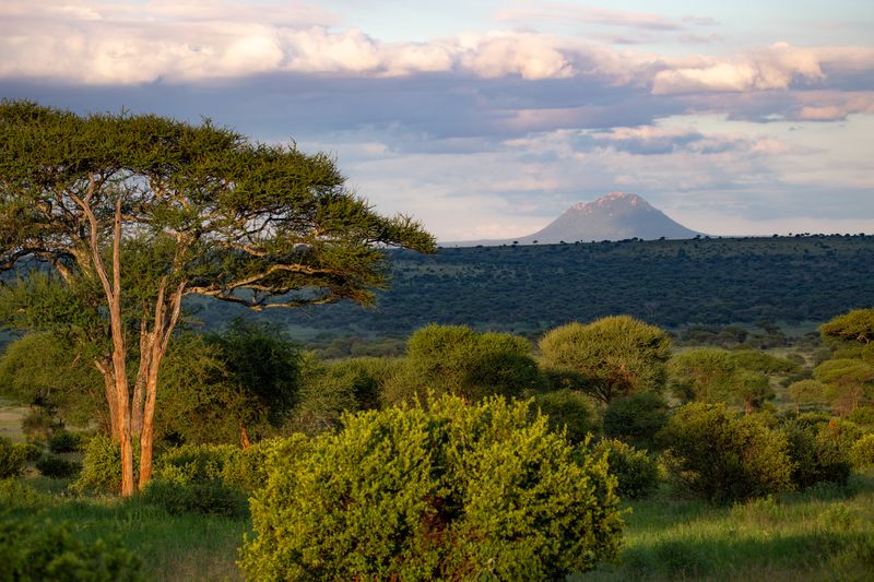 Private Tanzania Safari 2026: 9 Best Options & Costs