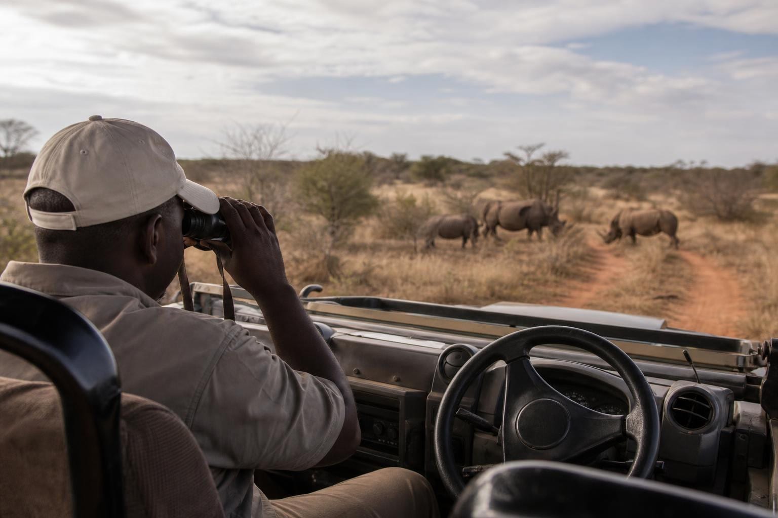 Mkomazi National Park Safari Guide 2026: Costs & Tips
