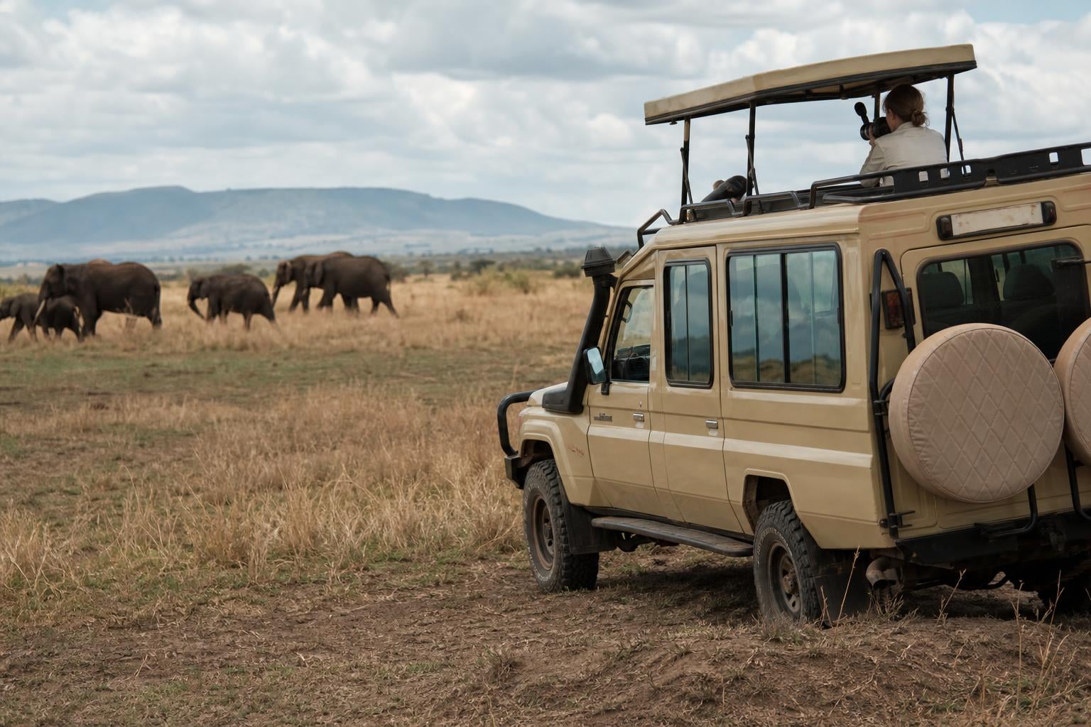 Tanzania Safari Cost Per Person 2026: Fees, Tiers, Tips