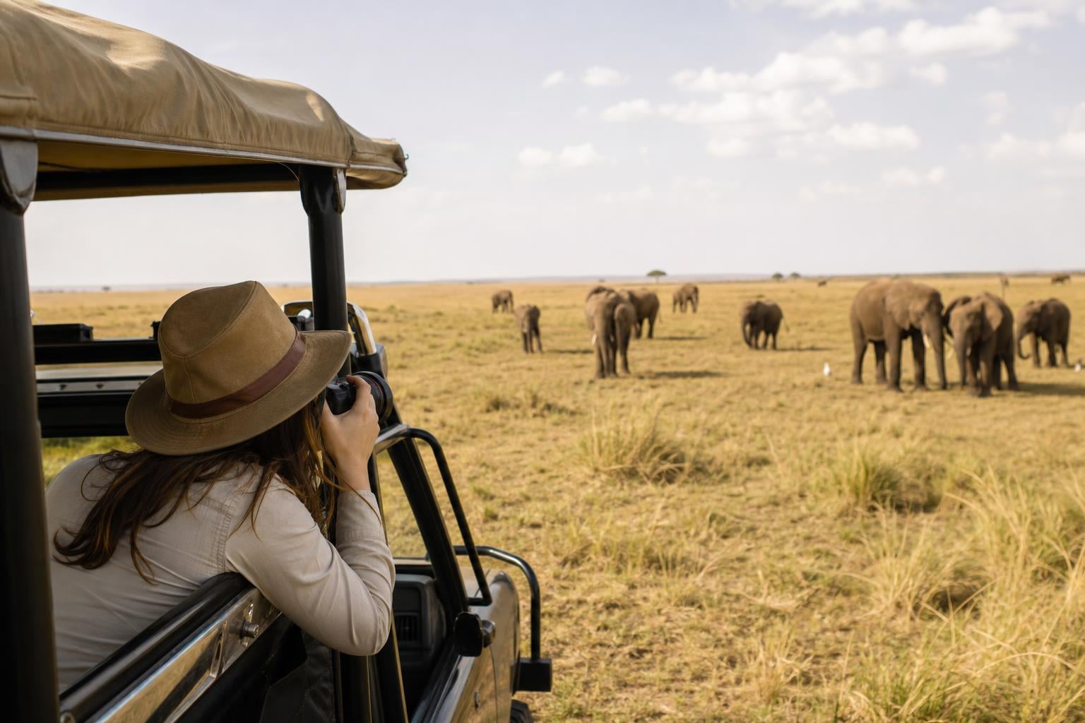 What Is the Best Time for Safari in Tanzania? 2026 Guide