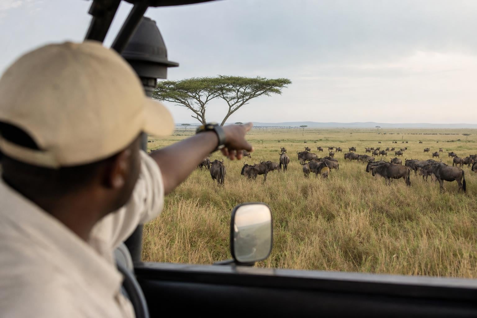 Serengeti safari guide