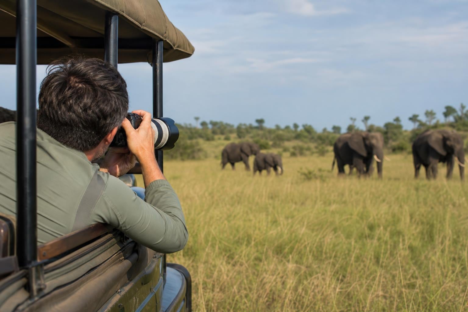 Tanzania safari photography