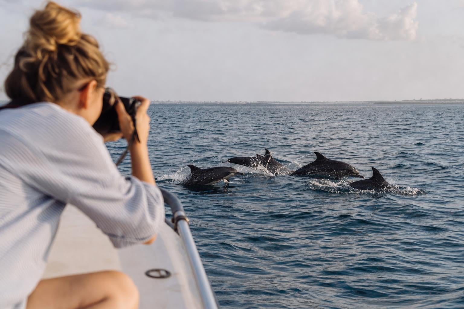 Zanzibar Dolphins: Ethical Tours & Best Spots (2026)