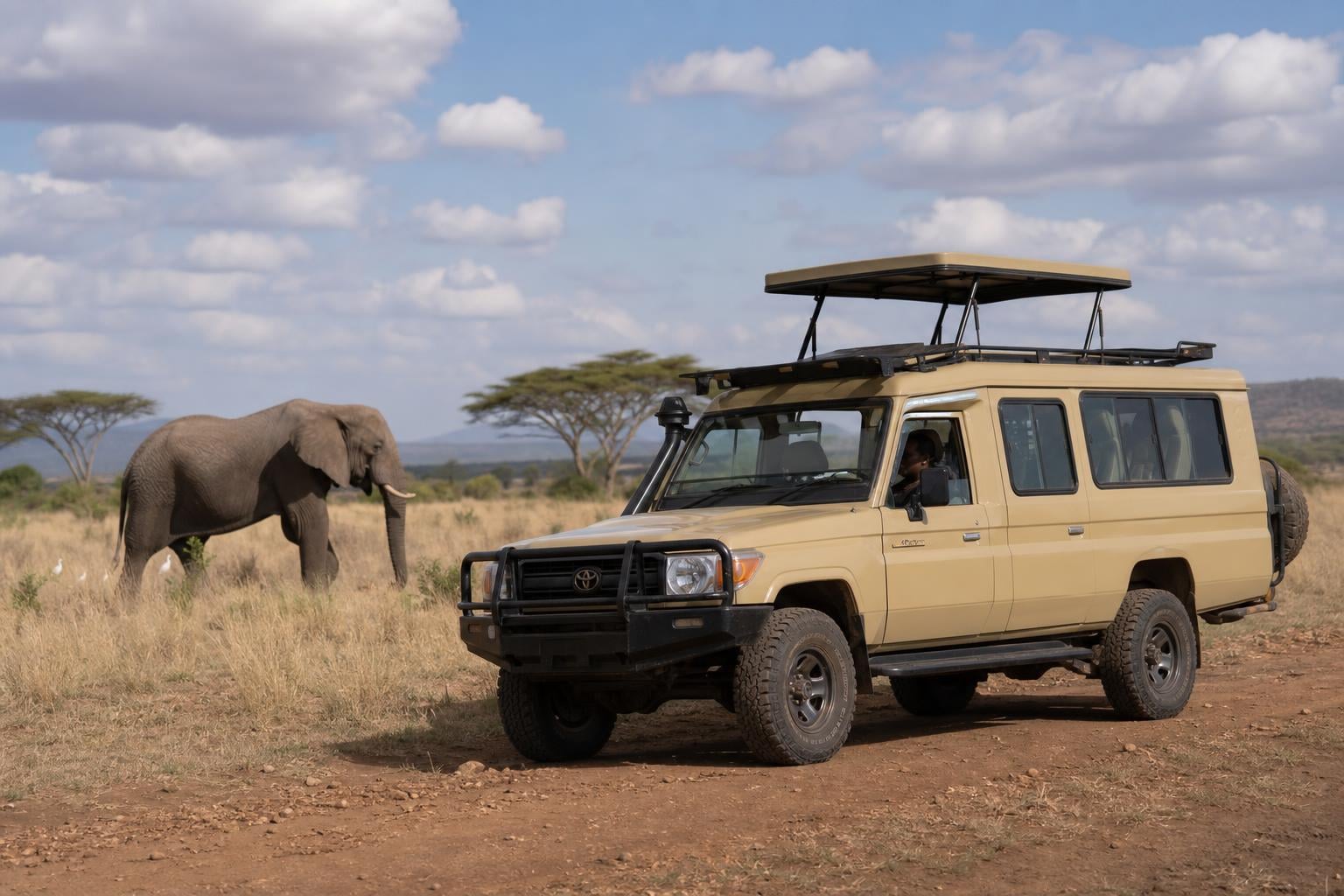 Safari Vehicles Africa: 2026 Guide to Types & Features