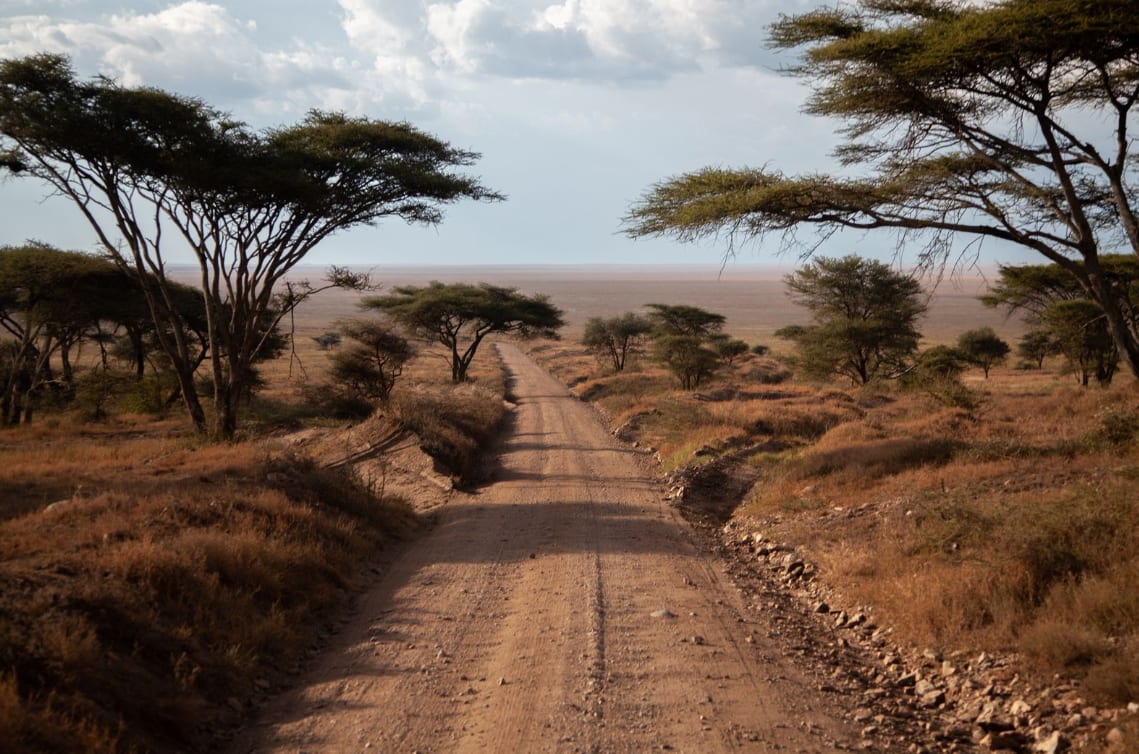 Explore Kenya: 2026 Safari Guide, Costs & Itineraries