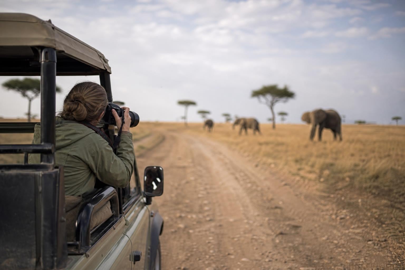 11 Best Tanzania Safaris for 2026: Plan the Right Trip