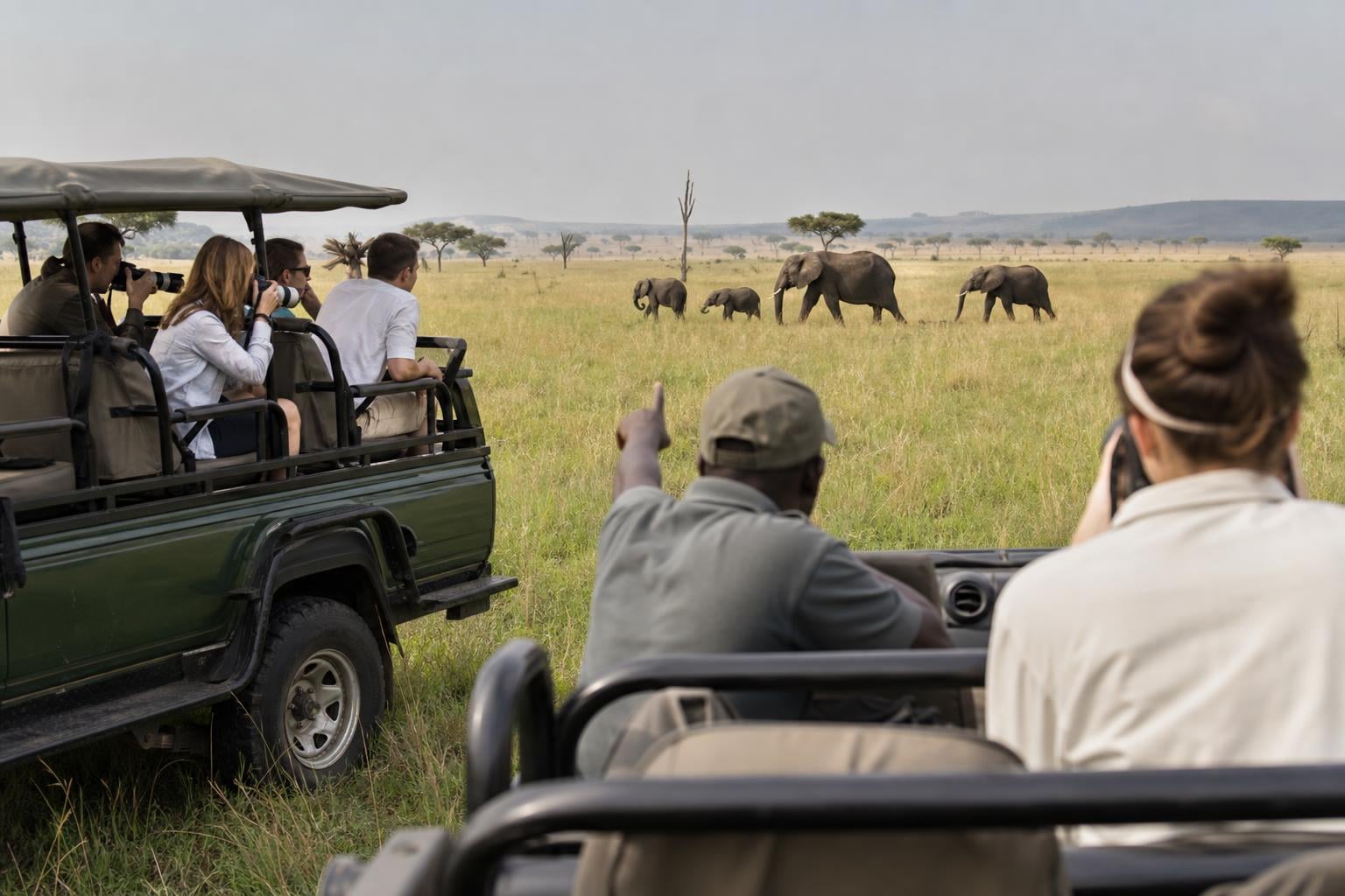 Safari Private vs Group: 2026 Costs & How to Choose